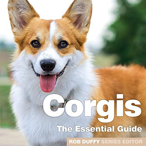 Corgis 