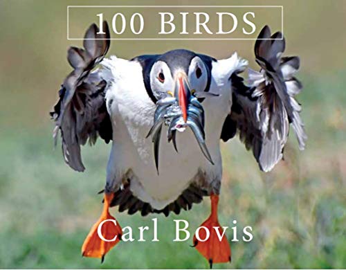 100 Birds