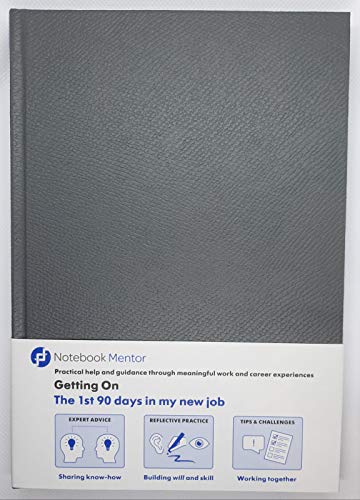 The 1st 90 days in my new job