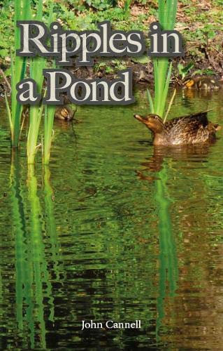 Ripples in a pond