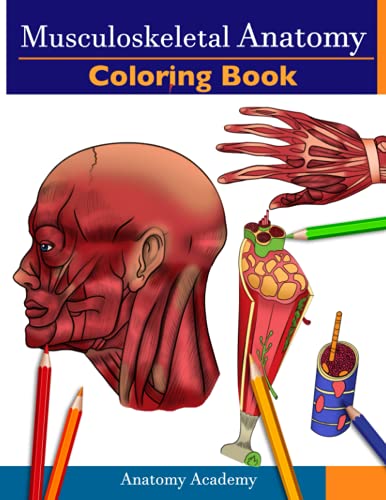 Musculoskeletal Anatomy Coloring Book Incredibly Detailed SelfTest Muscle Anatomy Color workbook  Perfect Gift for Medical School Students Physicians  Chiropractors