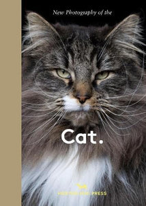 New Photography of the Cat. 