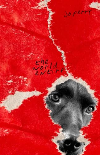 The World Entire (Ascher Lieb Investigates)