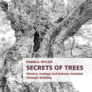 Secrets of Trees 