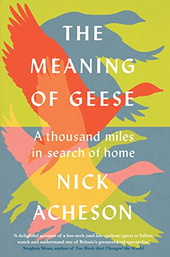 The Meaning of Geese