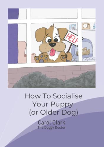 How to Socialise Your Puppy (or Older Dog) (Doggy Doctor Perfect Pet Books)