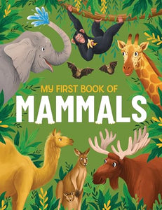 My First Book of Mammals 