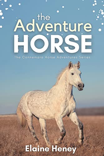 The Adventure Horse
