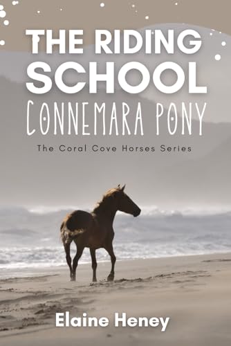 The Riding School Connemara Pony