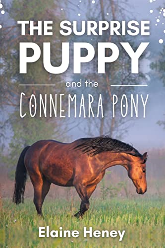 The Surprise Puppy and the Connemara Pony