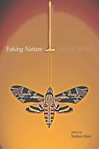 Faking Nature