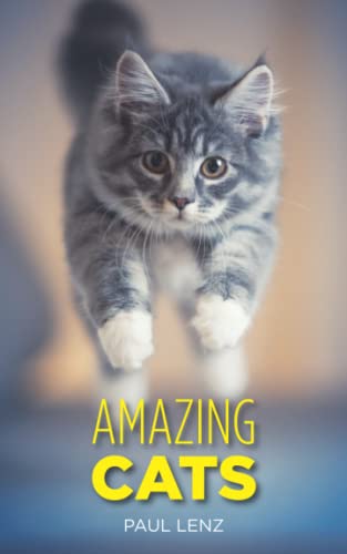 Amazing Cats