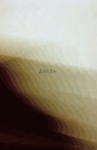 Awake: Finding purpose in this woke world (Dustybooks)