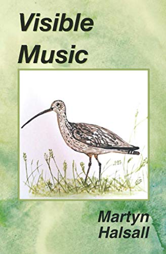Visible Music