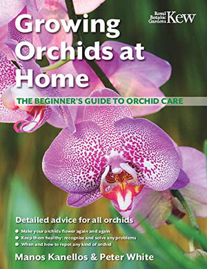 Growing Orchids at Home. The beginners guide to Orchid care.