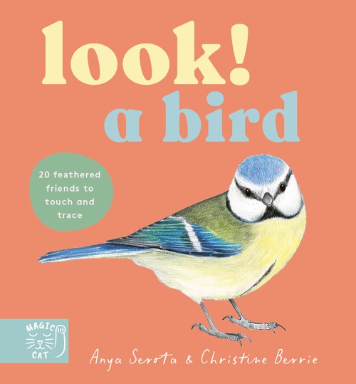 LOOK! A Bird