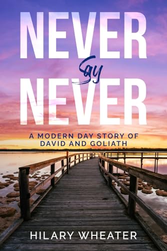 NEVER say NEVER: A Modern Day Story of David and Goliath