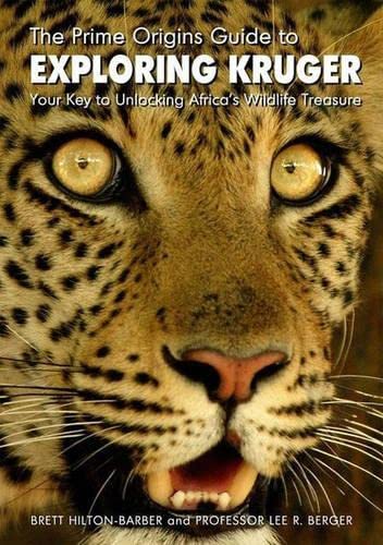 The Prime Origins guide to exploring Kruger