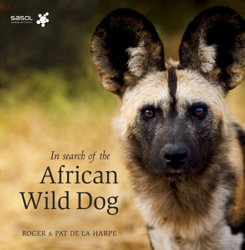 In Search of the African Wild Dog