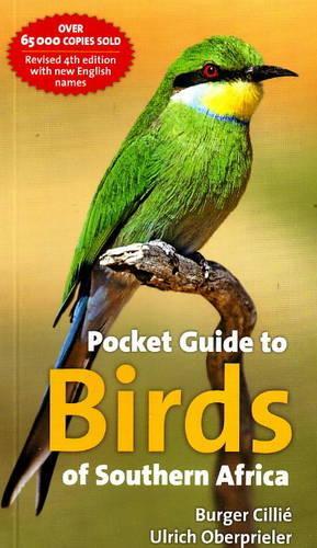 Pocket Guide to Birds of Southern Africa