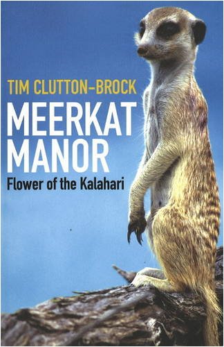 Meerkat Manor