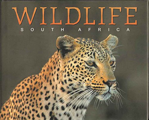 Wildlife South Africa