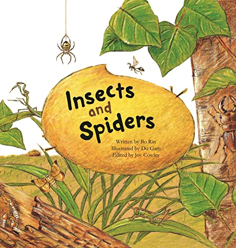 Insects and Spiders