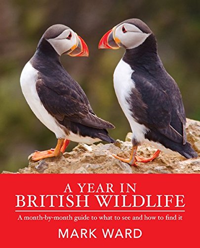 Year in British Wildlife a