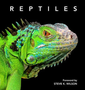Reptiles 