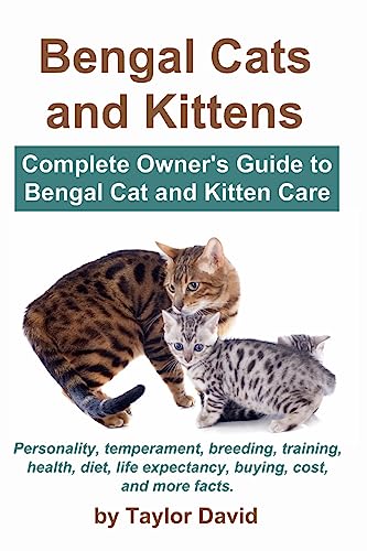 Bengal Cats and Kittens
