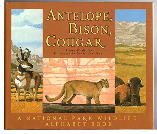 Antelope, Bison, Cougar