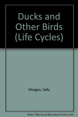 Ducks and Other Birds