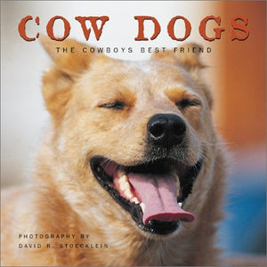Cow Dogs
