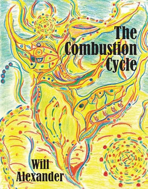 The Combustion Cycle