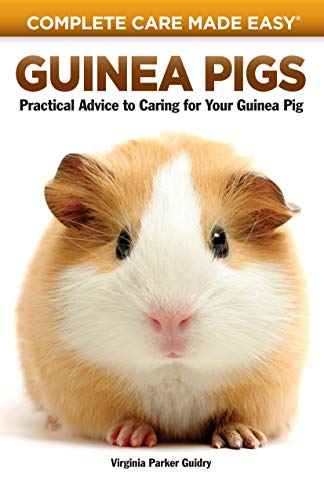 Guinea Pigs