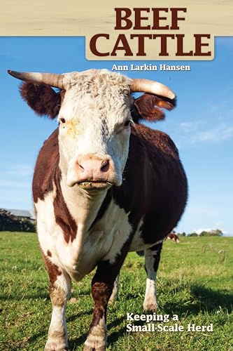 Beef Cattle