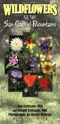 Wildflowers of the San Gabriel Mountains