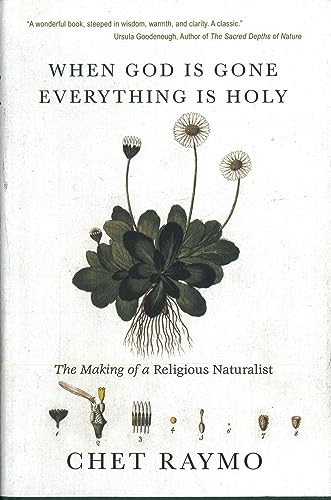 When God is Gone, Everything is Holy