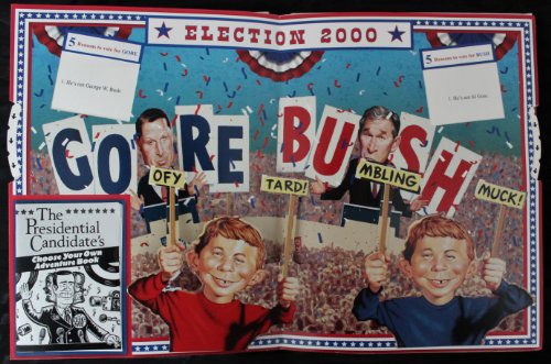 Mad About Politics