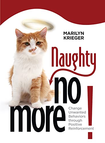 Naughty No More