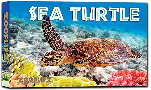 Flipbooks - 4 x Sea Turtle