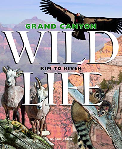 Grand Canyon Wildlife Rim to River