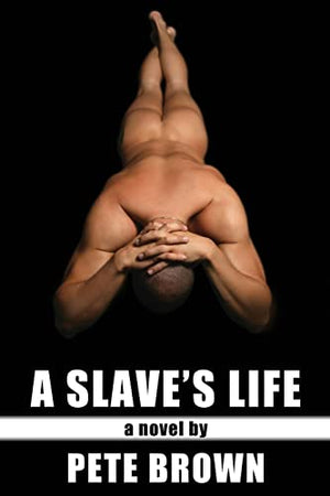 A Slave's Life