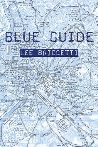 Blue Guide