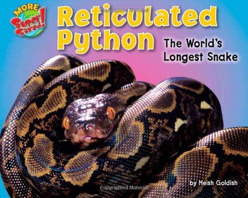 Reticulated Python
