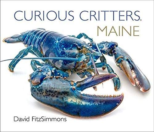 Curious Critters Maine