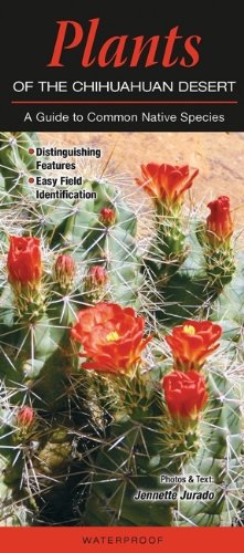 Plants of the Chihuahuan Desert