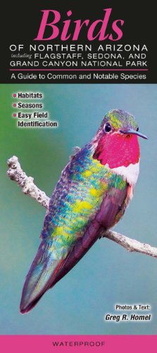 Birds of Northern Arizona Including Flagstaff, Sedona, & Grand Canyon National Park