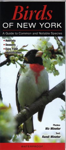 Birds of New York