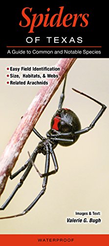 Spiders of Texas